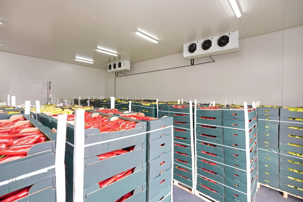 5 T Cold Storage Rooms